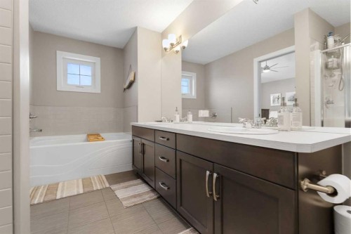 41 Marquis Common Se, Calgary, AB - Indoor Photo Showing Bathroom
