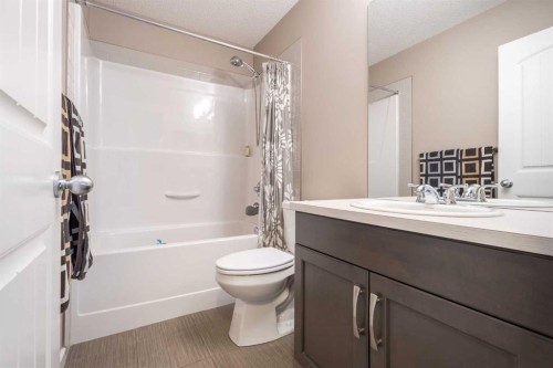 41 Marquis Common Se, Calgary, AB - Indoor Photo Showing Bathroom