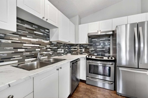 312 Martin Crossing Way Ne, Calgary, AB - Indoor Photo Showing Kitchen With Stainless Steel Kitchen With Double Sink With Upgraded Kitchen