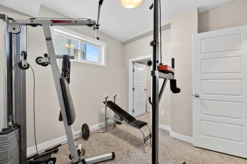 312 Martin Crossing Way Ne, Calgary, AB - Indoor Photo Showing Gym Room