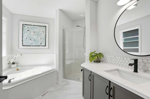 270 Everoak Drive Sw, Calgary, AB - Indoor Photo Showing Bathroom