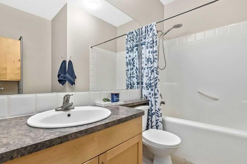 48 Tucker Circle, Okotoks, AB - Indoor Photo Showing Bathroom