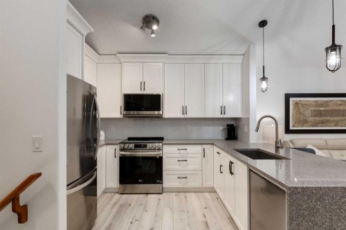 117 Cramond Crescent Se, Calgary, AB - Indoor Photo Showing Kitchen With Upgraded Kitchen