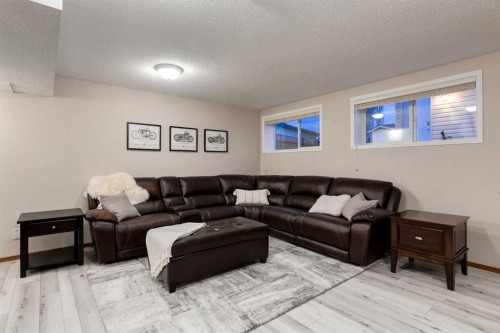 117 Cramond Crescent Se, Calgary, AB - Indoor Photo Showing Living Room