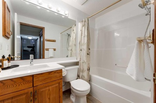 117 Cramond Crescent Se, Calgary, AB - Indoor Photo Showing Bathroom