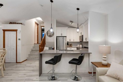 117 Cramond Crescent Se, Calgary, AB - Indoor Photo Showing Kitchen With Stainless Steel Kitchen With Upgraded Kitchen