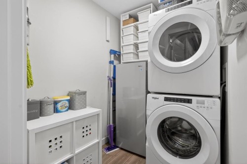 105-55 Wolf Hollow Crescent Se, Calgary, AB - Indoor Photo Showing Laundry Room