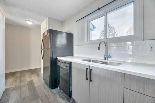 29-131 Templehill Drive Ne, Calgary, AB - Indoor Photo Showing Kitchen With Double Sink