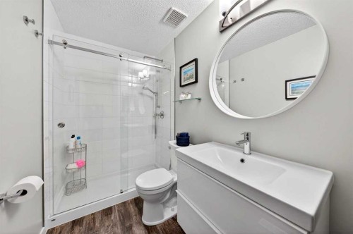 228 Riverside Close Se, Calgary, AB - Indoor Photo Showing Bathroom