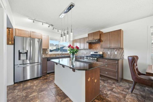 70 Skyview Point Green Ne, Calgary, AB - Indoor Photo Showing Kitchen With Stainless Steel Kitchen With Upgraded Kitchen