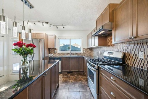 70 Skyview Point Green Ne, Calgary, AB - Indoor Photo Showing Kitchen With Upgraded Kitchen