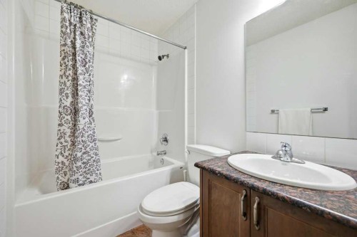 70 Skyview Point Green Ne, Calgary, AB - Indoor Photo Showing Bathroom
