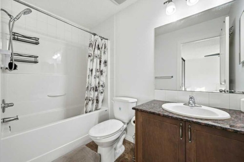 70 Skyview Point Green Ne, Calgary, AB - Indoor Photo Showing Bathroom