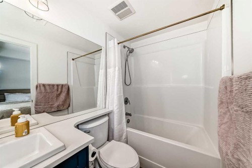 44 Spring Creek Common Sw, Calgary, AB - Indoor Photo Showing Bathroom