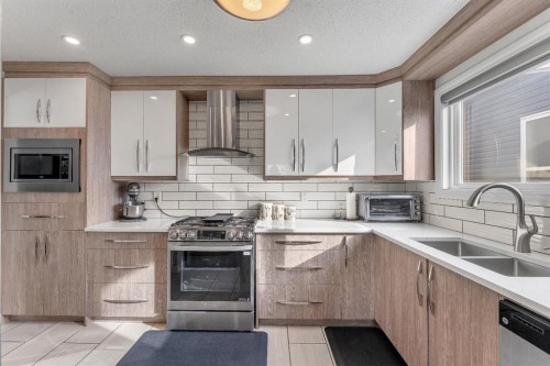 55 Castleglen Way Ne, Calgary, AB - Indoor Photo Showing Kitchen With Double Sink With Upgraded Kitchen