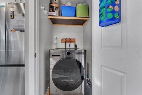 55 Castleglen Way Ne, Calgary, AB - Indoor Photo Showing Laundry Room