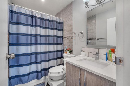 55 Castleglen Way Ne, Calgary, AB - Indoor Photo Showing Bathroom