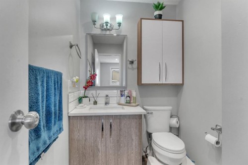 55 Castleglen Way Ne, Calgary, AB - Indoor Photo Showing Bathroom