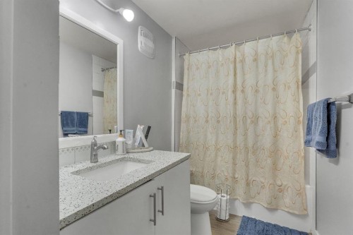 55 Castleglen Way Ne, Calgary, AB - Indoor Photo Showing Bathroom