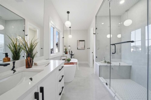 425 Watercrest Place, Chestermere, AB - Indoor Photo Showing Bathroom