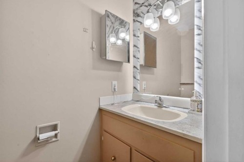 6003 Pinepoint Drive Ne, Calgary, AB - Indoor Photo Showing Bathroom