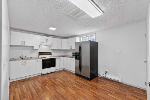 6003 Pinepoint Drive Ne, Calgary, AB - Indoor Photo Showing Kitchen With Double Sink