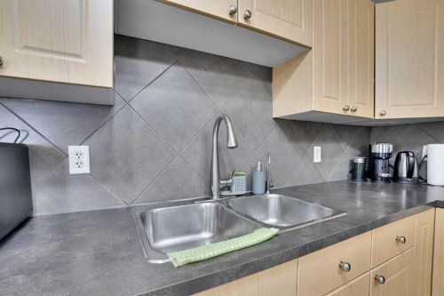 88 Saddlebrook Common Ne, Calgary, AB - Indoor Photo Showing Kitchen With Double Sink