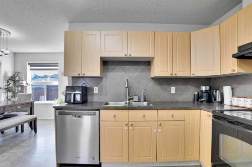 88 Saddlebrook Common Ne, Calgary, AB - Indoor Photo Showing Kitchen With Double Sink