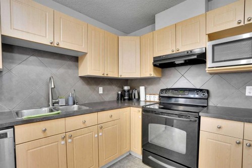 88 Saddlebrook Common Ne, Calgary, AB - Indoor Photo Showing Kitchen With Double Sink