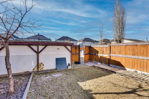 88 Saddlebrook Common Ne, Calgary, AB - Outdoor
