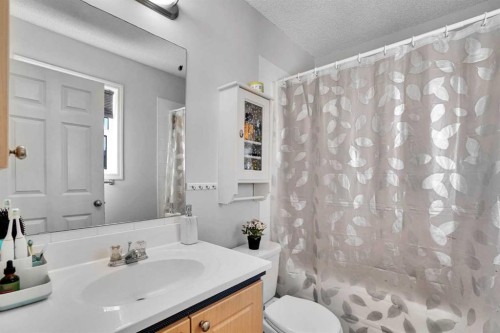 88 Saddlebrook Common Ne, Calgary, AB - Indoor Photo Showing Bathroom
