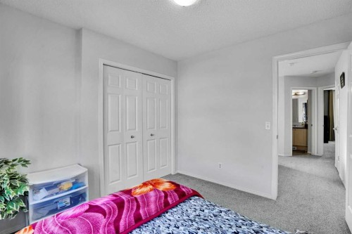 88 Saddlebrook Common Ne, Calgary, AB - Indoor Photo Showing Bedroom