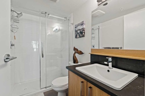 313-510 Edmonton Trail Ne, Calgary, AB - Indoor Photo Showing Bathroom