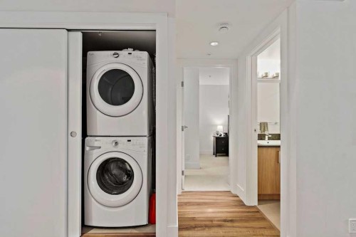313-510 Edmonton Trail Ne, Calgary, AB - Indoor Photo Showing Laundry Room
