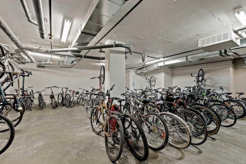 313-510 Edmonton Trail Ne, Calgary, AB - Indoor Photo Showing Garage