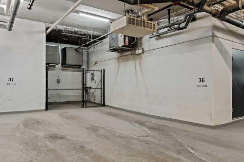 313-510 Edmonton Trail Ne, Calgary, AB - Indoor Photo Showing Garage