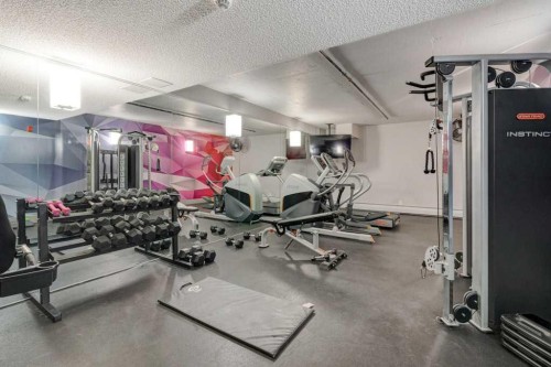 313-510 Edmonton Trail Ne, Calgary, AB - Indoor Photo Showing Gym Room