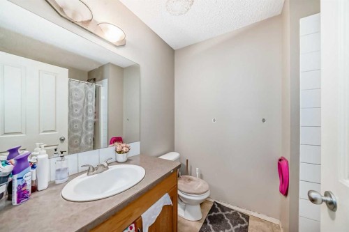 147 Saddlebrook Point Ne, Calgary, AB - Indoor Photo Showing Bathroom