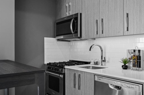 440-110 18A Street Nw, Calgary, AB - Indoor Photo Showing Kitchen With Stainless Steel Kitchen With Upgraded Kitchen