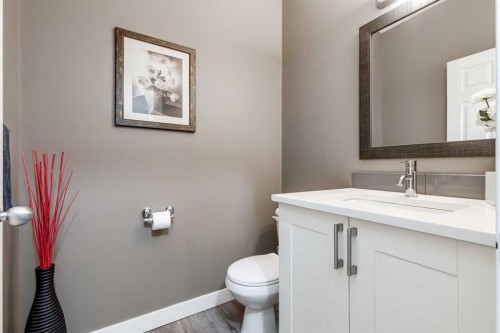 407 Morningside Crescent Sw, Airdrie, AB - Indoor Photo Showing Bathroom