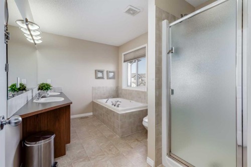 407 Morningside Crescent Sw, Airdrie, AB - Indoor Photo Showing Bathroom