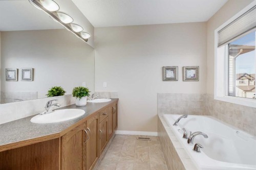 407 Morningside Crescent Sw, Airdrie, AB - Indoor Photo Showing Bathroom