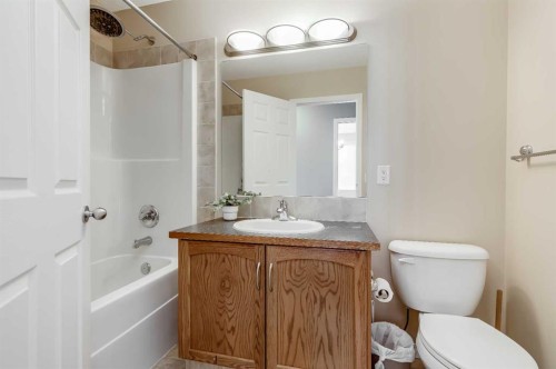 407 Morningside Crescent Sw, Airdrie, AB - Indoor Photo Showing Bathroom