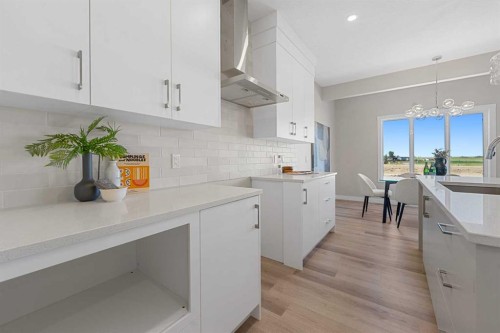 213 Clearview Court, Chestermere, AB - Indoor Photo Showing Kitchen With Upgraded Kitchen