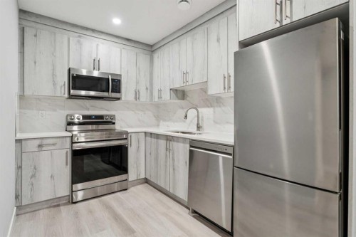 123 Walcrest Way Se, Calgary, AB - Indoor Photo Showing Kitchen With Upgraded Kitchen