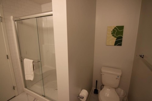 1207-220 Seton Grove Se, Calgary, AB - Indoor Photo Showing Bathroom