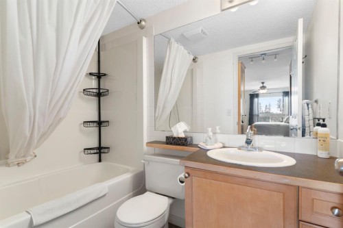 301-128 Centre Avenue, Cochrane, AB - Indoor Photo Showing Bathroom