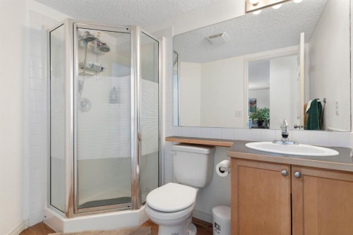 301-128 Centre Avenue, Cochrane, AB - Indoor Photo Showing Bathroom