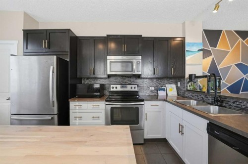 176 Evansview Gardens Nw, Calgary, AB - Indoor Photo Showing Kitchen With Stainless Steel Kitchen With Double Sink With Upgraded Kitchen
