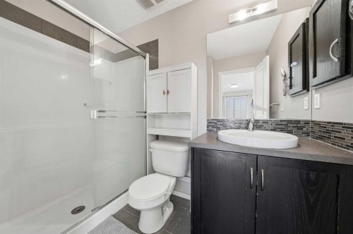 176 Evansview Gardens Nw, Calgary, AB - Indoor Photo Showing Bathroom